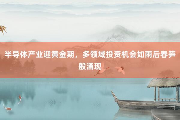 半导体产业迎黄金期，多领域投资机会如雨后春笋般涌现