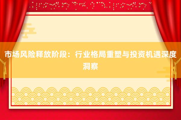 市场风险释放阶段：行业格局重塑与投资机遇深度洞察