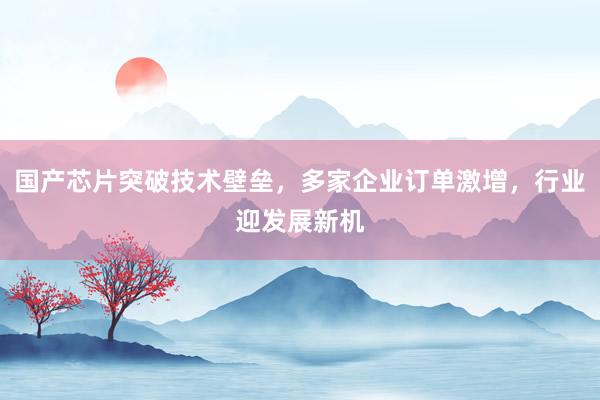 国产芯片突破技术壁垒，多家企业订单激增，行业迎发展新机