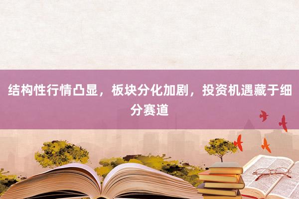 结构性行情凸显，板块分化加剧，投资机遇藏于细分赛道