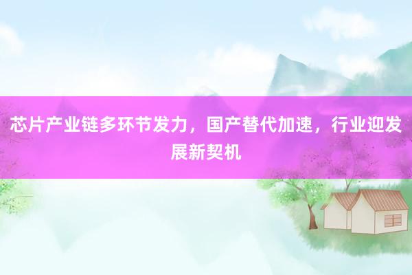 芯片产业链多环节发力，国产替代加速，行业迎发展新契机