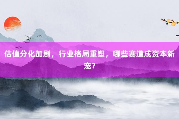 估值分化加剧，行业格局重塑，哪些赛道成资本新宠？