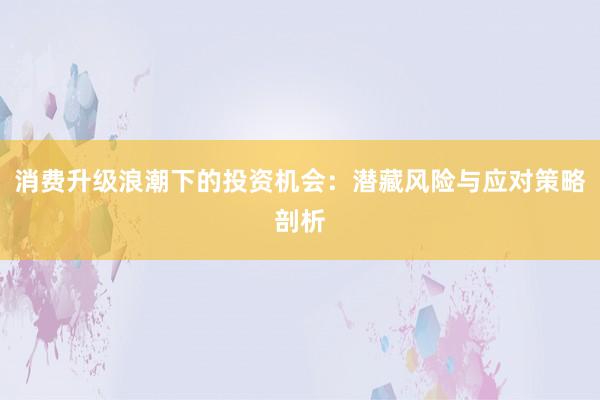 消费升级浪潮下的投资机会：潜藏风险与应对策略剖析
