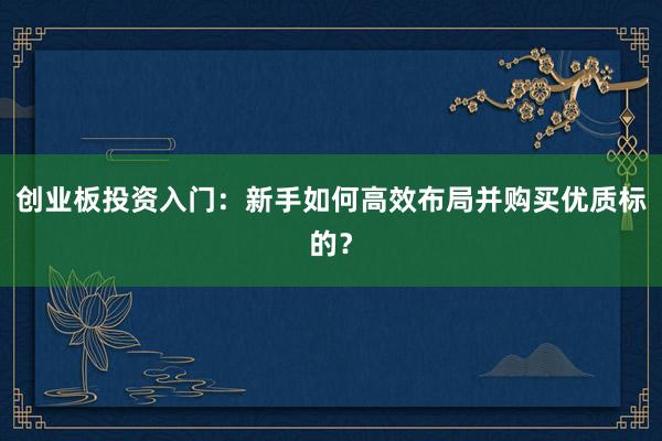 创业板投资入门：新手如何高效布局并购买优质标的？