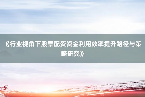 《行业视角下股票配资资金利用效率提升路径与策略研究》