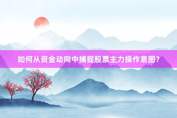 如何从资金动向中捕捉股票主力操作意图？