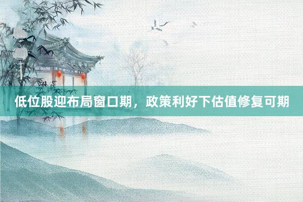 低位股迎布局窗口期，政策利好下估值修复可期