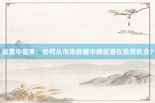 股票中签率：如何从市场数据中捕捉潜在投资机会？