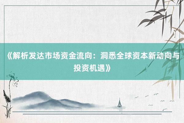 《解析发达市场资金流向：洞悉全球资本新动向与投资机遇》