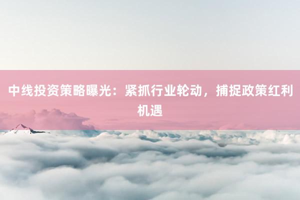 中线投资策略曝光：紧抓行业轮动，捕捉政策红利机遇