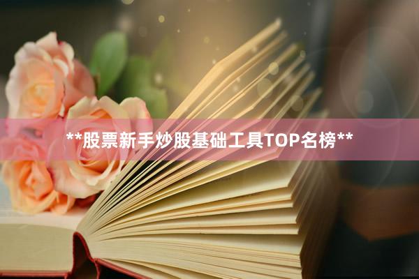 **股票新手炒股基础工具TOP名榜**