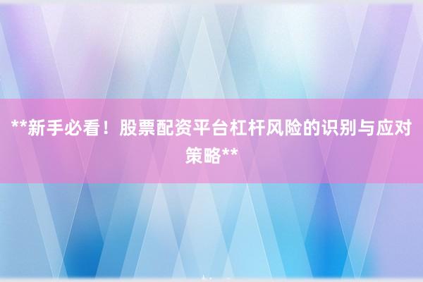 **新手必看！股票配资平台杠杆风险的识别与应对策略**