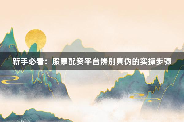 新手必看：股票配资平台辨别真伪的实操步骤